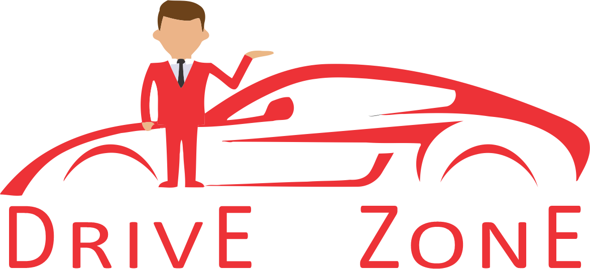 cardrivezone.com